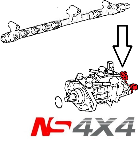 Ns4x4